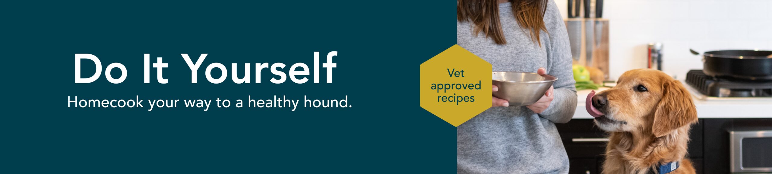 Golden retriever waiting for homemade dog food, illustrating DIY home-cooked meals for dogs