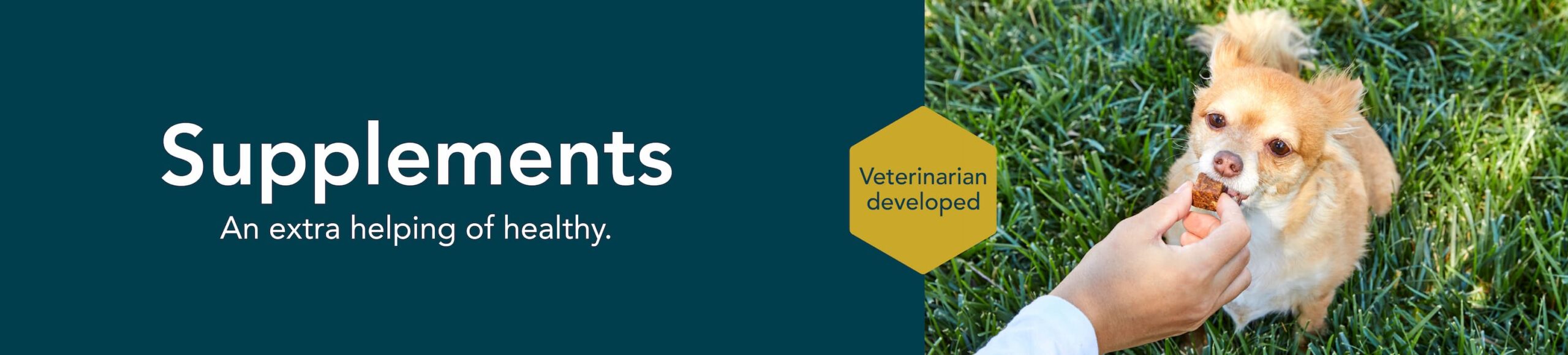 Dog receiving a healthy supplement outdoors, representing veterinarian-developed dog supplements