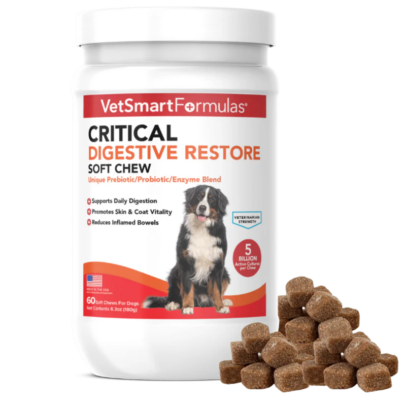 Critical Digestive Restore chews for dogs with digestive issues and upset stomach relief